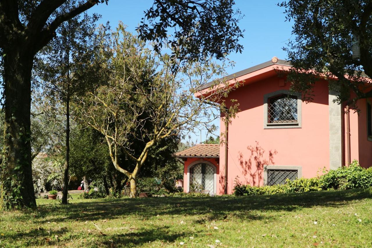 B&B Ai Glicini - Castelli Romani Marino Bagian luar foto
