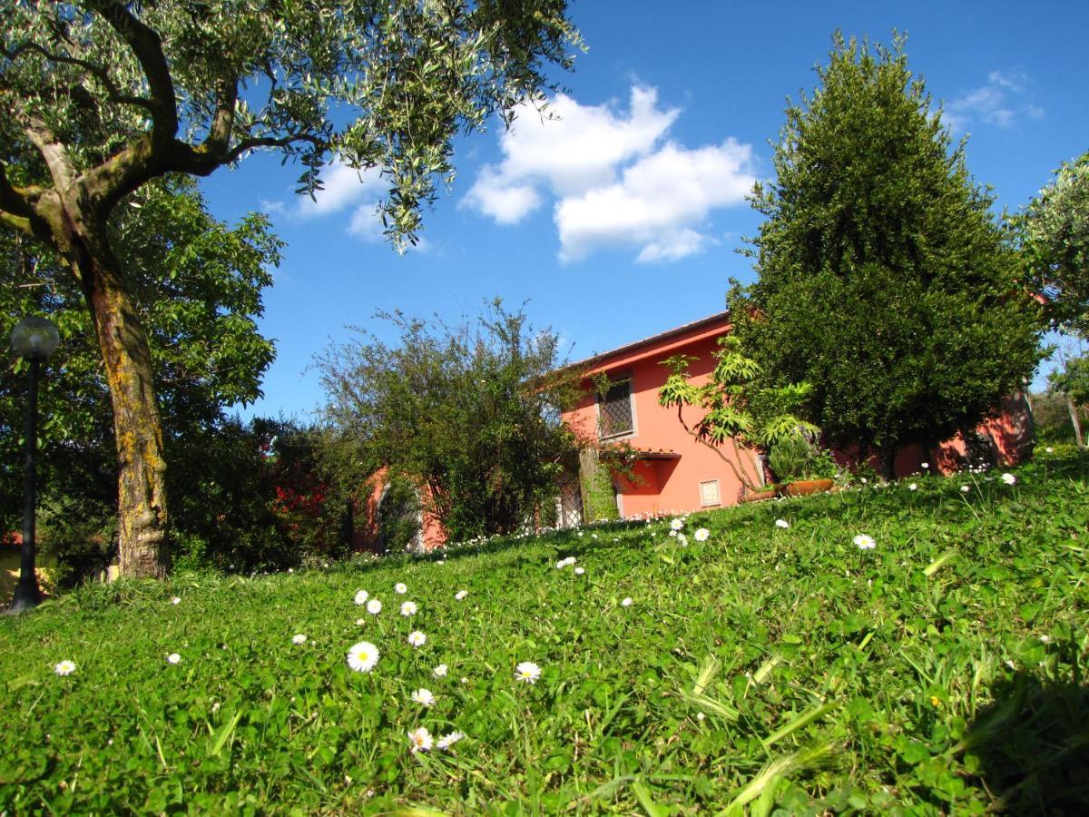 B&B Ai Glicini - Castelli Romani Marino Bagian luar foto