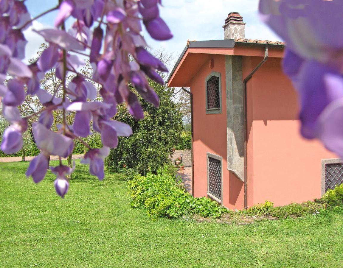 B&B Ai Glicini - Castelli Romani Marino Bagian luar foto