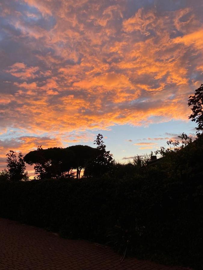 B&B Ai Glicini - Castelli Romani Marino Bagian luar foto