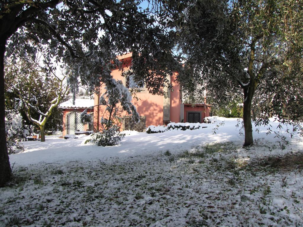 B&B Ai Glicini - Castelli Romani Marino Bagian luar foto