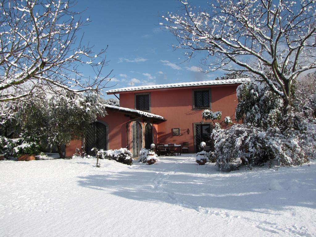 B&B Ai Glicini - Castelli Romani Marino Bagian luar foto